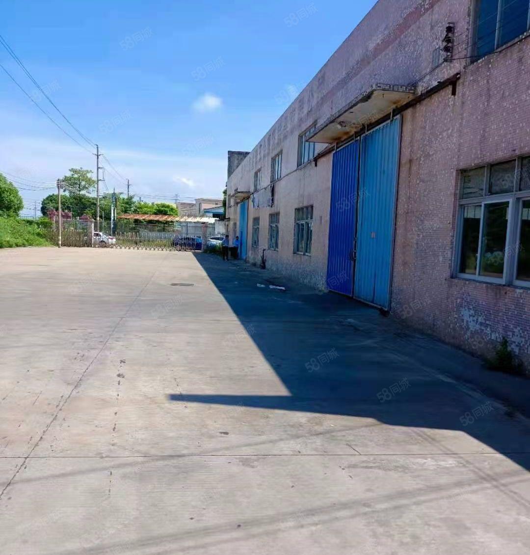 大岭山厚大路边单一层3000平方，面积实量，配电630千瓦