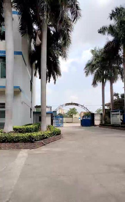 大片美工业区新出房东直租独院厂房8500平方，每层带豪华装修