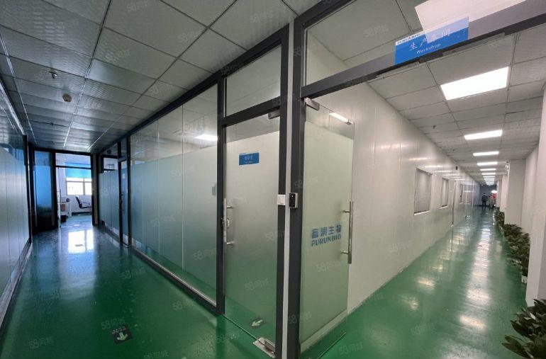 大岭山大塘4350平可分精装修低价厂房仓库无尘车间一楼上出租