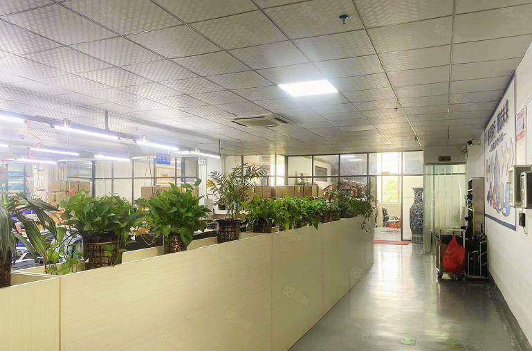 大岭山原房东独门独院带精装修带行车厂房一到三楼各950平米