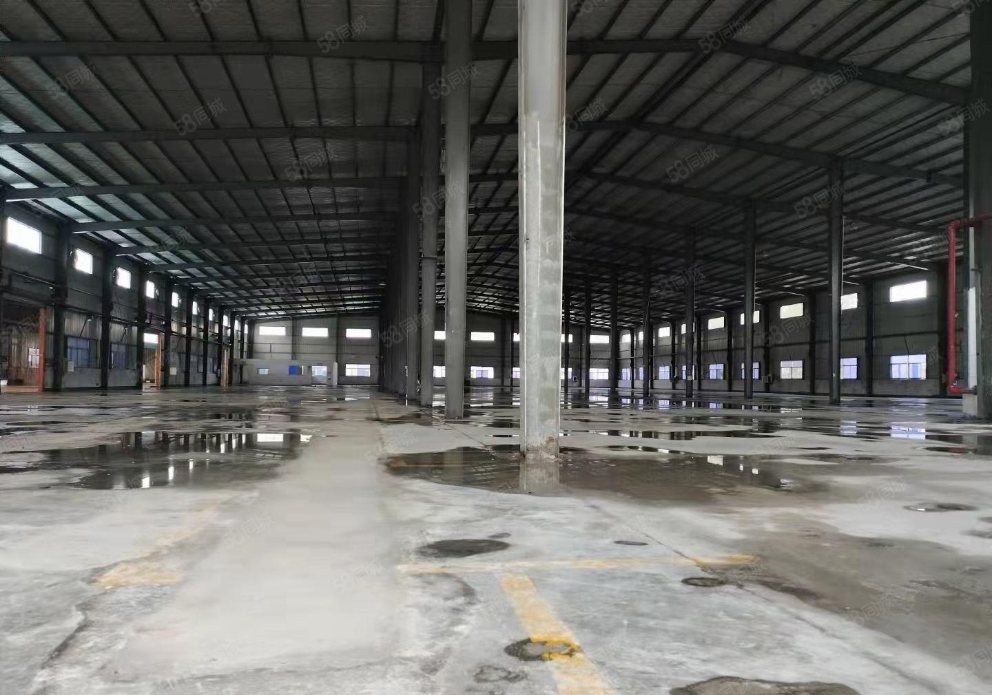 新出原房东30000平钢构可分租 滴水9米 可办环评