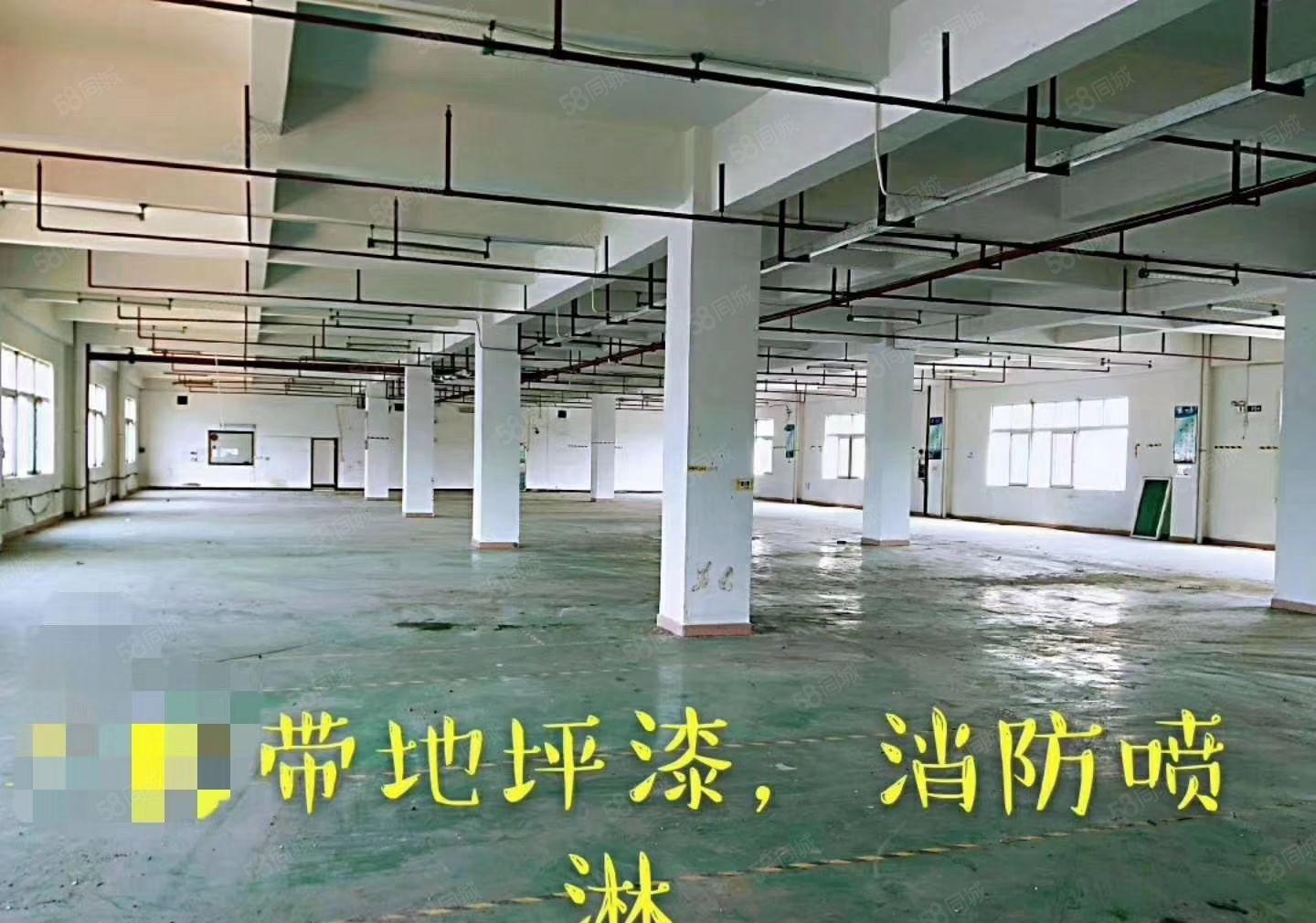 大岭山独院厂房招租原房东标准三层3000平电子五金厂房出租