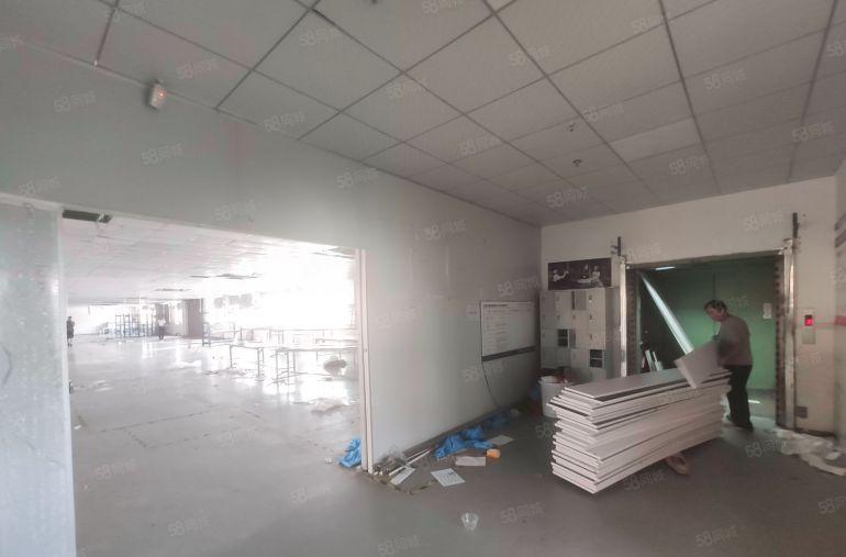 大岭山杨屋三楼2000平洁净车间厂房出租