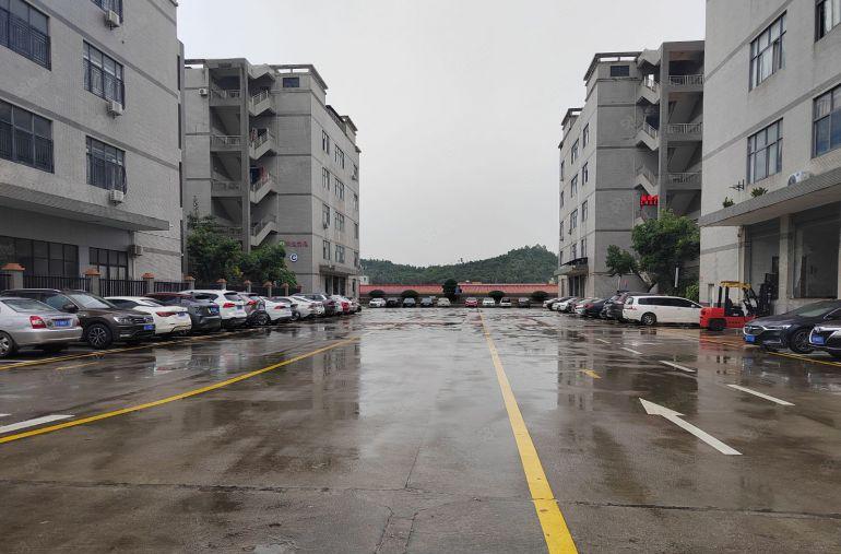 大岭山工业区原房东红本厂房楼上700平出租精装修带消防喷淋