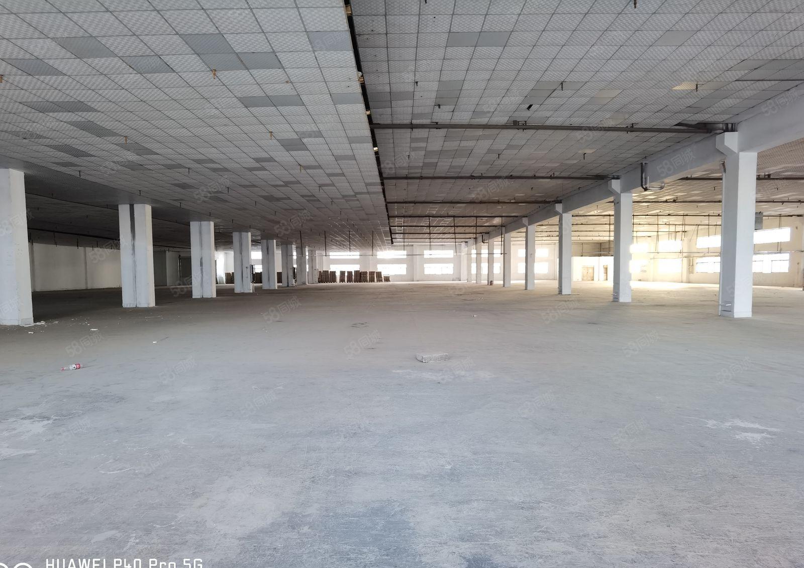 花园式厂房出租，空地大可分租，易招工，高速路口，交通便利