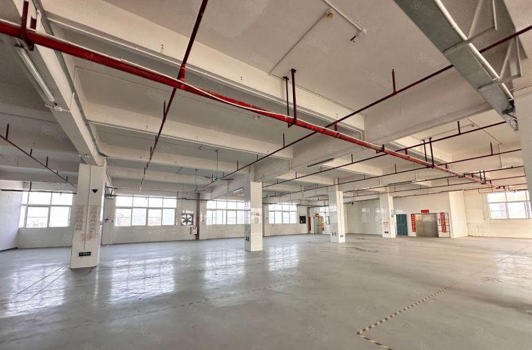 大岭山 精装修  3000方空地免费使用，停车方便