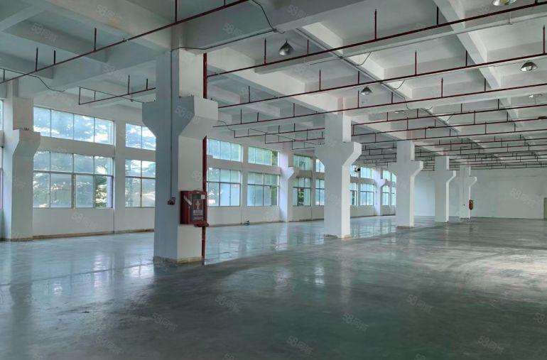 东莞大岭山厂房出租3万平原房东厂房出租独院大朗长安独门独院