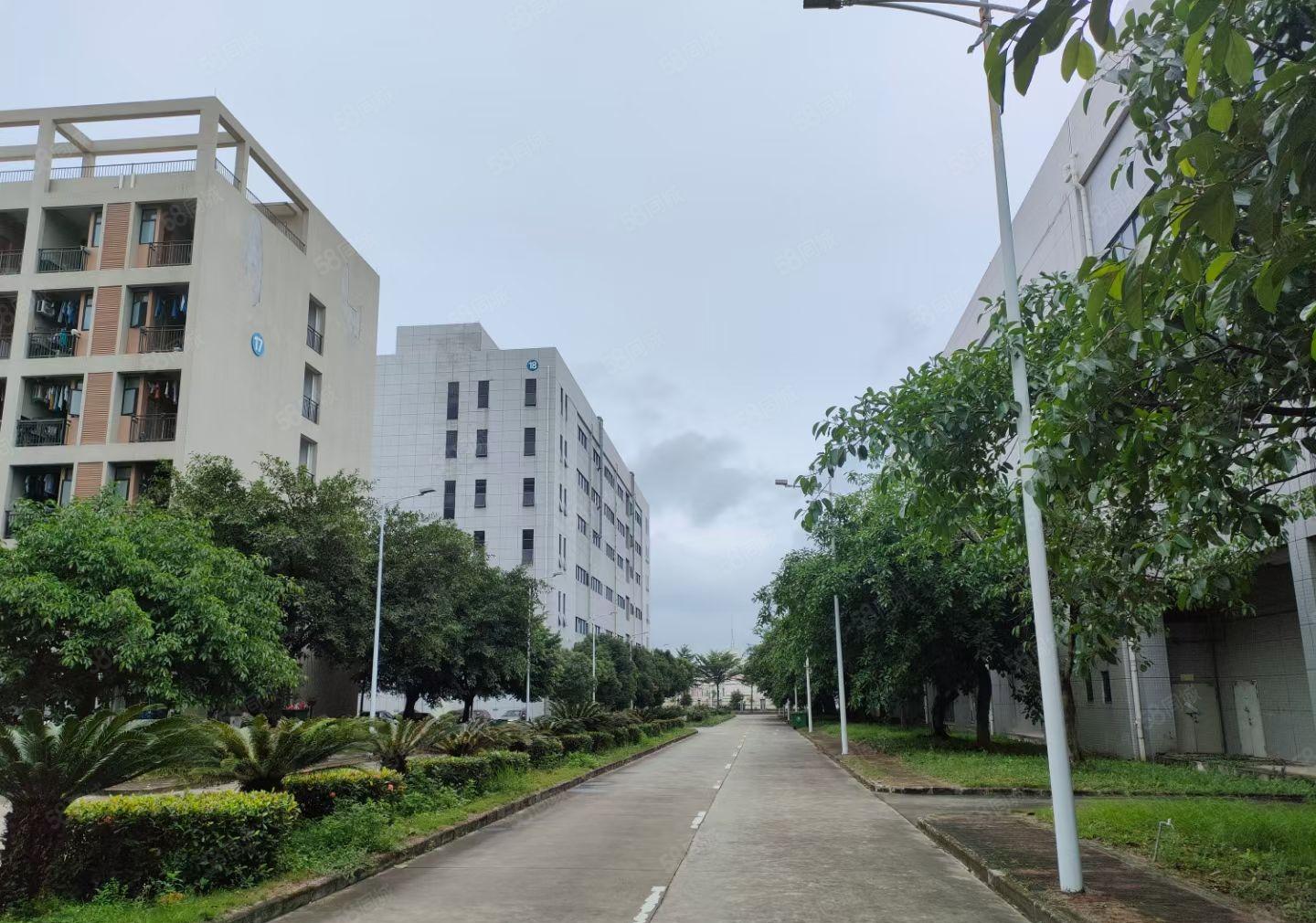 大岭山新出国有红本花园式标准厂房可分多个小独院