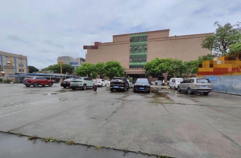 大岭山镇 标准厂房 独院 单一层 仓库 厂房出租