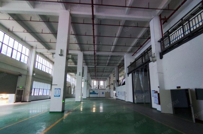 11米高的红本重工业厂房独栋厂房来了，现成豪华装修免费送