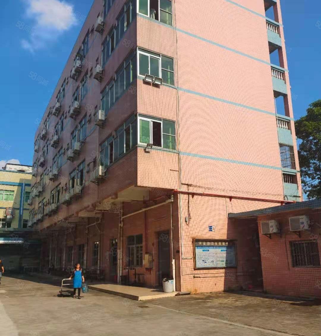 （可办环坪）大岭山大塘村原房东独门独院4000平厂房分租