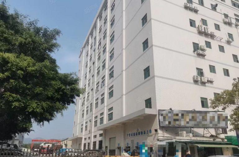 小企业福音 杨屋村空出标准2楼800平方低价厂房出租带精装修