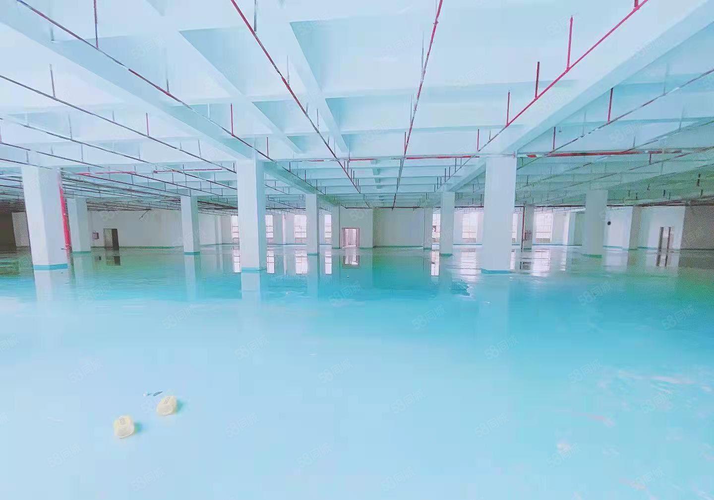 大岭山村委1200平厂房出租仓库出租，工业用地现成装修可分租