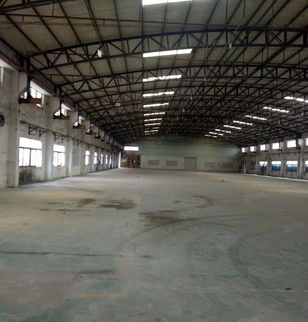 大岭山杨屋107国道边新出独院钢构7500平方招租带卸货平台