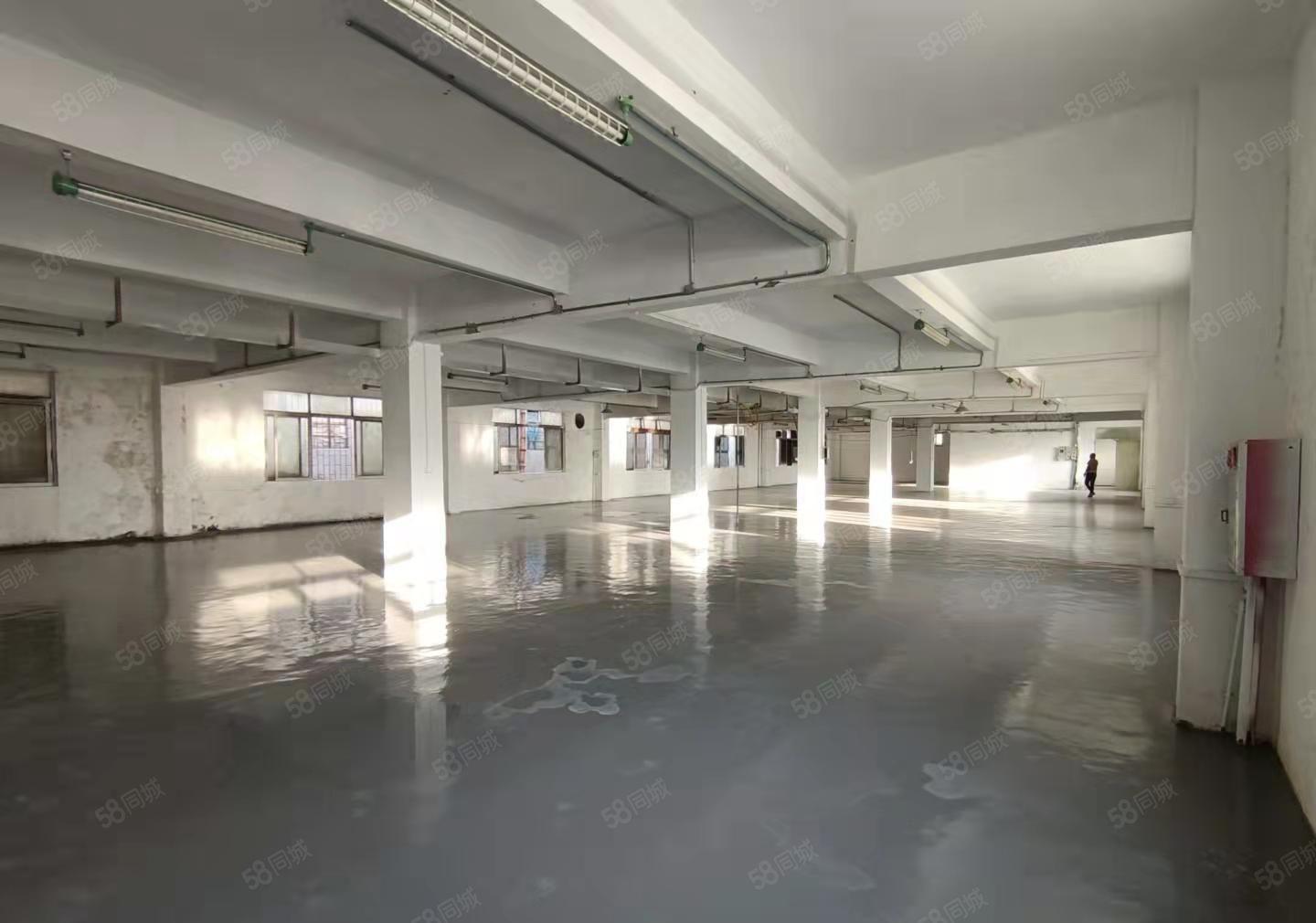 大岭山6000平独门独院厂房出租，全新精装修，仓库出租