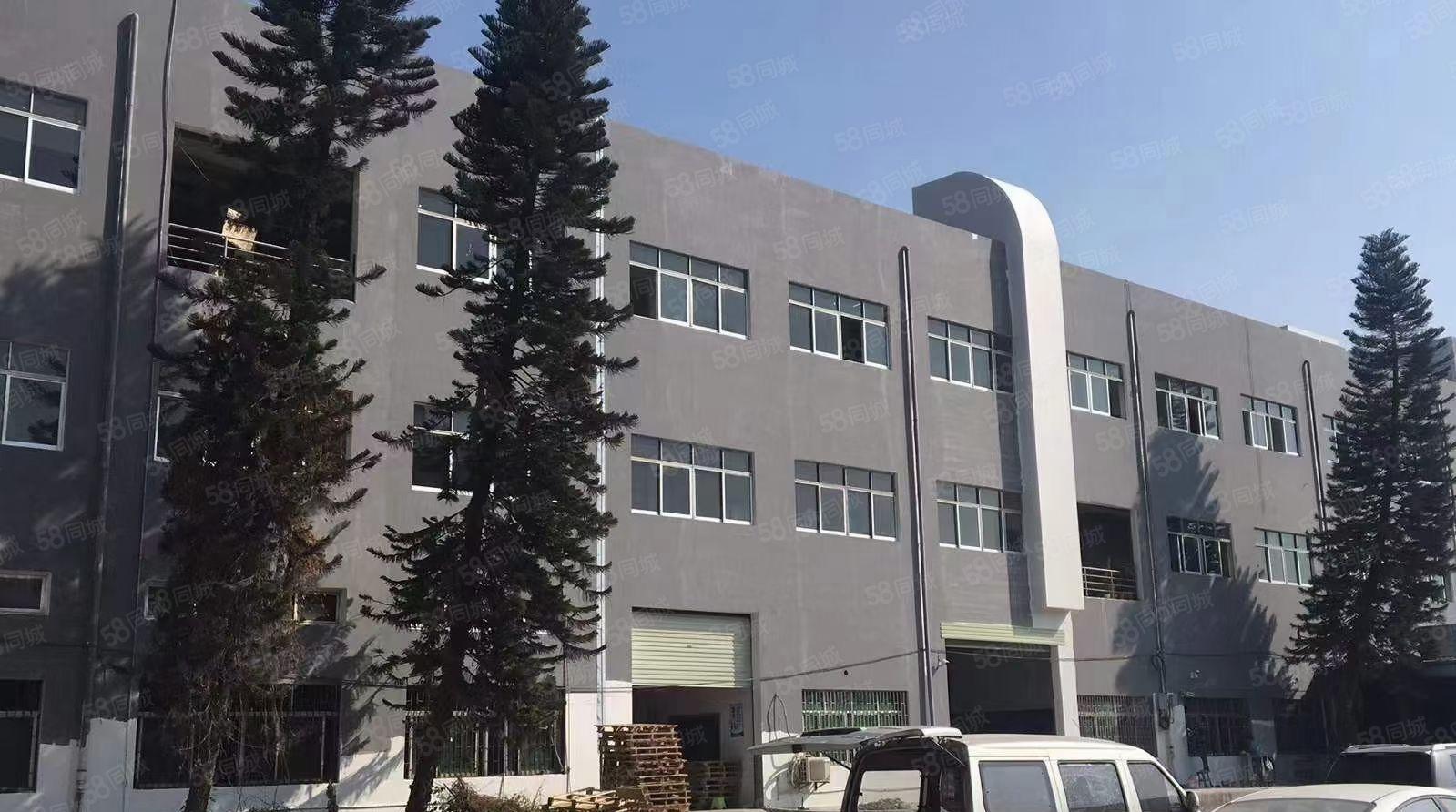 大岭山镇空出原房东独门独院3层3000平厂房出租无公摊带环坪