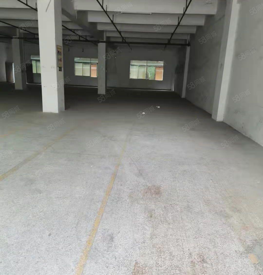 石碣一手房东招租标准独院厂房一楼800平方，无公摊，可办环评