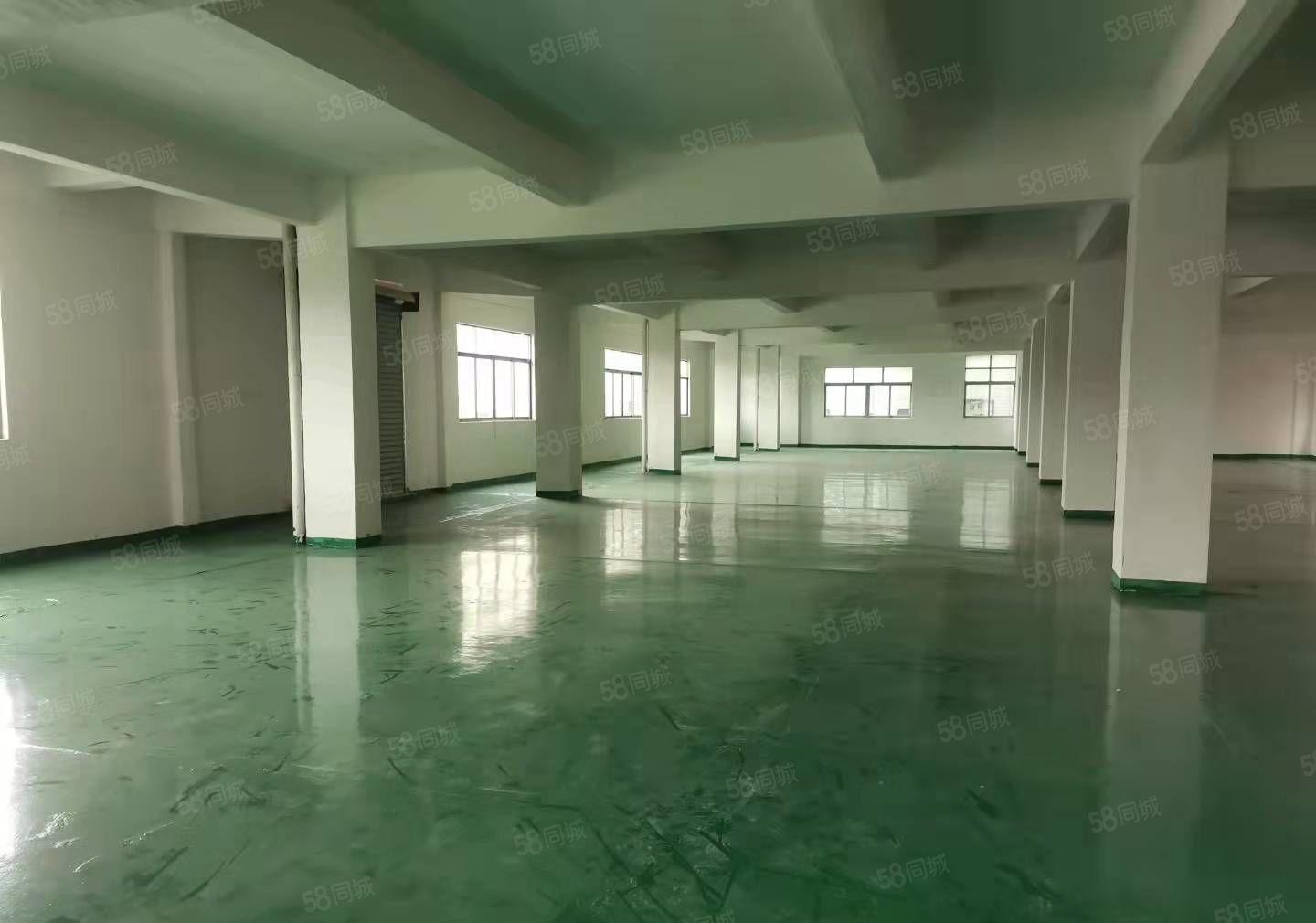 石碣四甲招租全新厂房二楼800平方，现成装修，入驻即可生产！