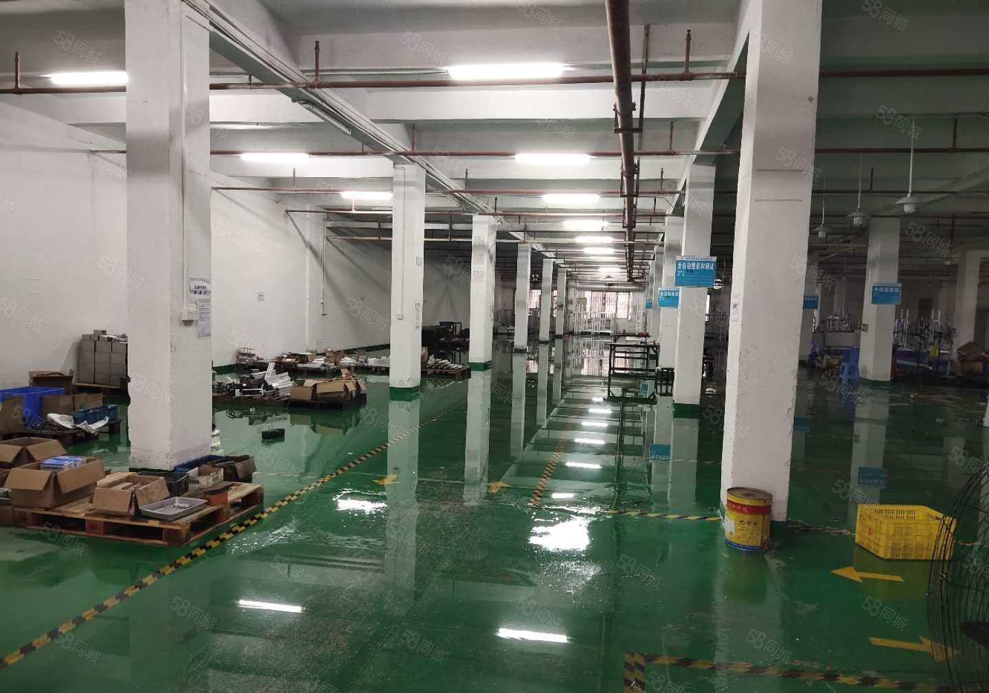 现成装修，入驻即可生产，石碣沙腰招租独院厂房一楼800平方！