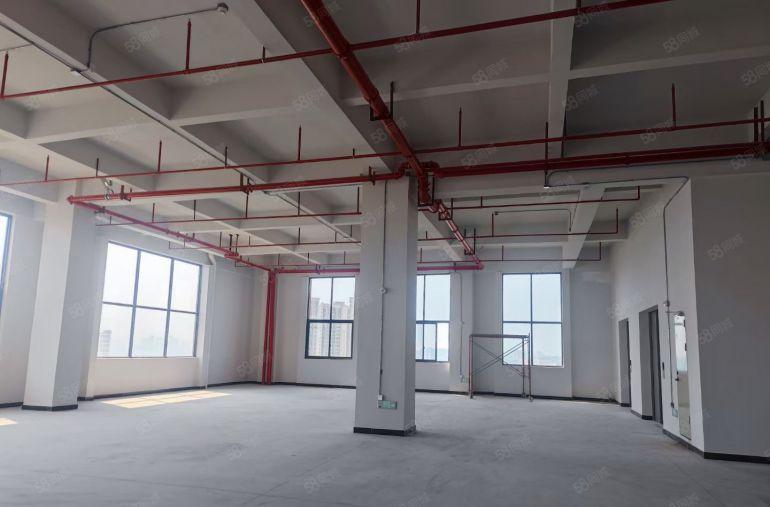 原房东独院 分租 带消防喷淋 水电办公室现成 带卸货平台