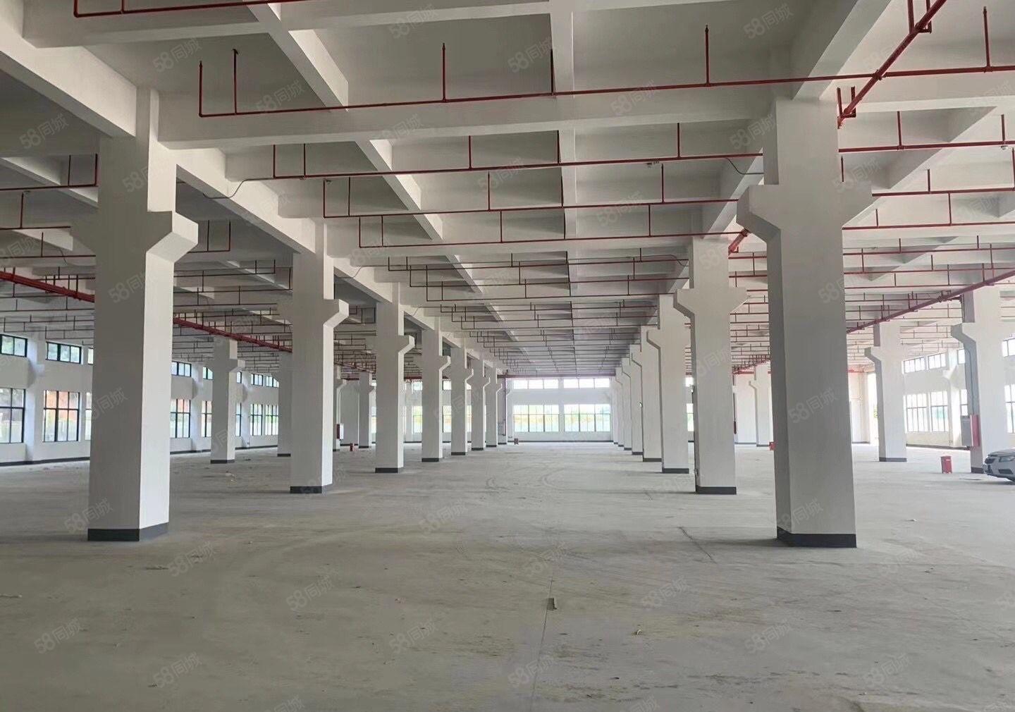 石碣橘洲工业园独院标准厂房8800平可分租形象好