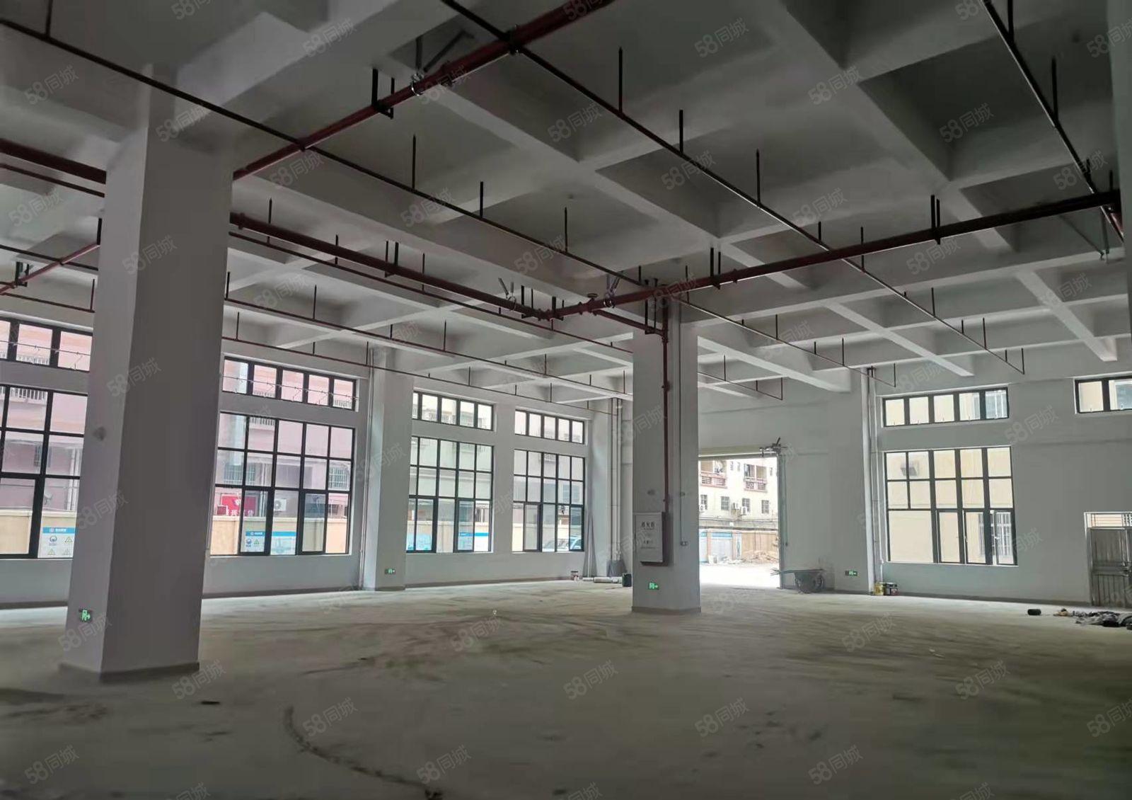 石碣水南原房东招租全新厂房一楼800平方，层高7.9米！
