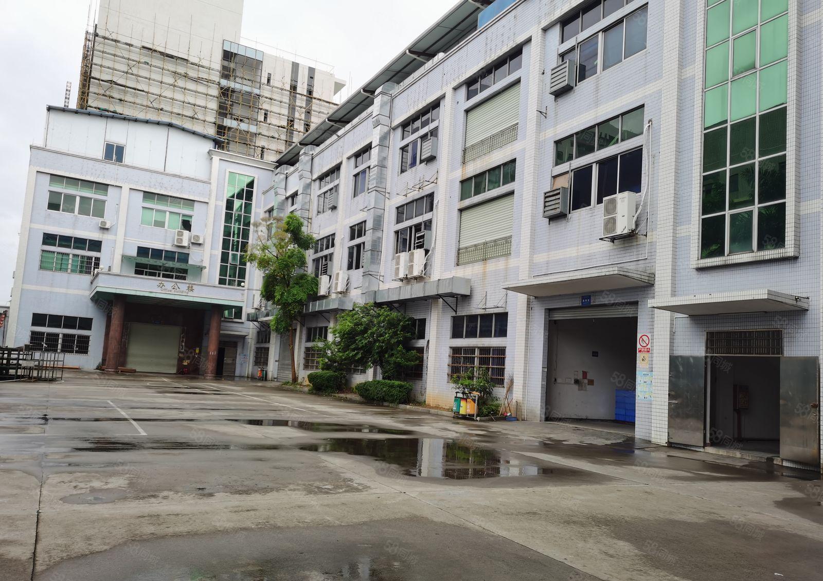 新！抢手！原房东！石碣镇独院厂房招租一楼2200方可分