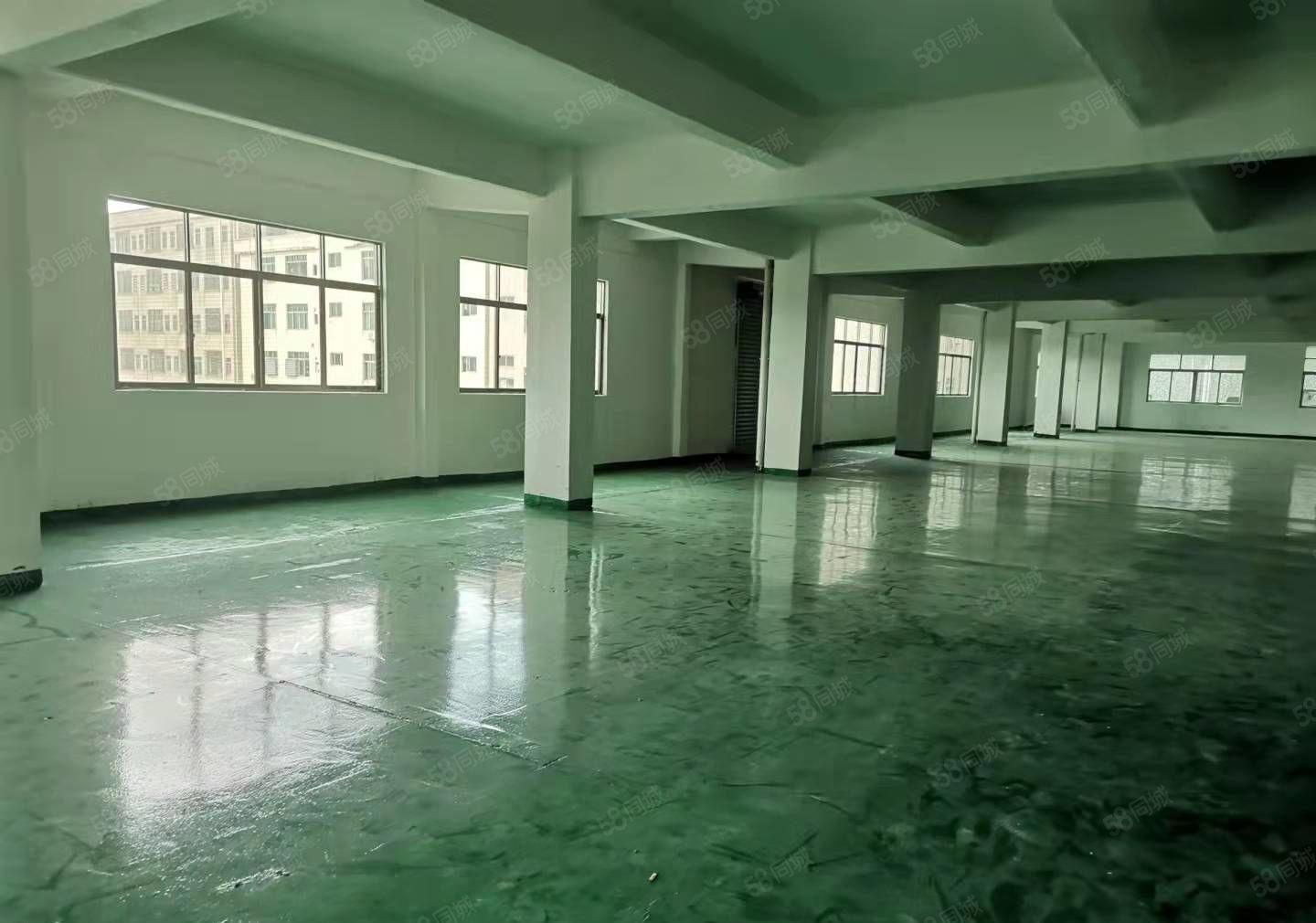 石碣四甲招租全新厂房二楼800平方，现成装修，入驻即可生产！