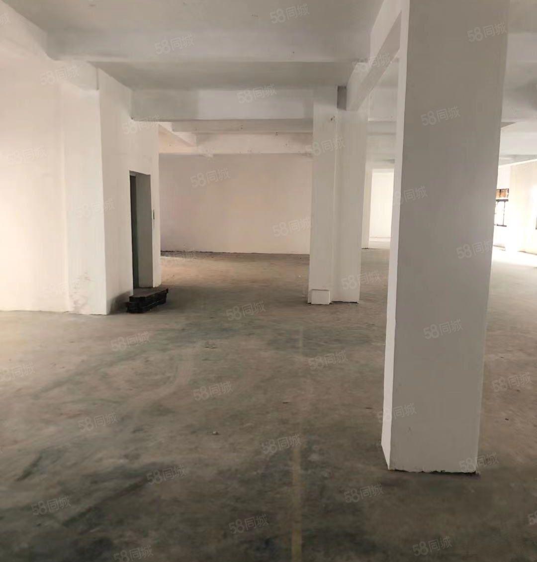 新！原房东直租！东莞石碣650方小型厂房