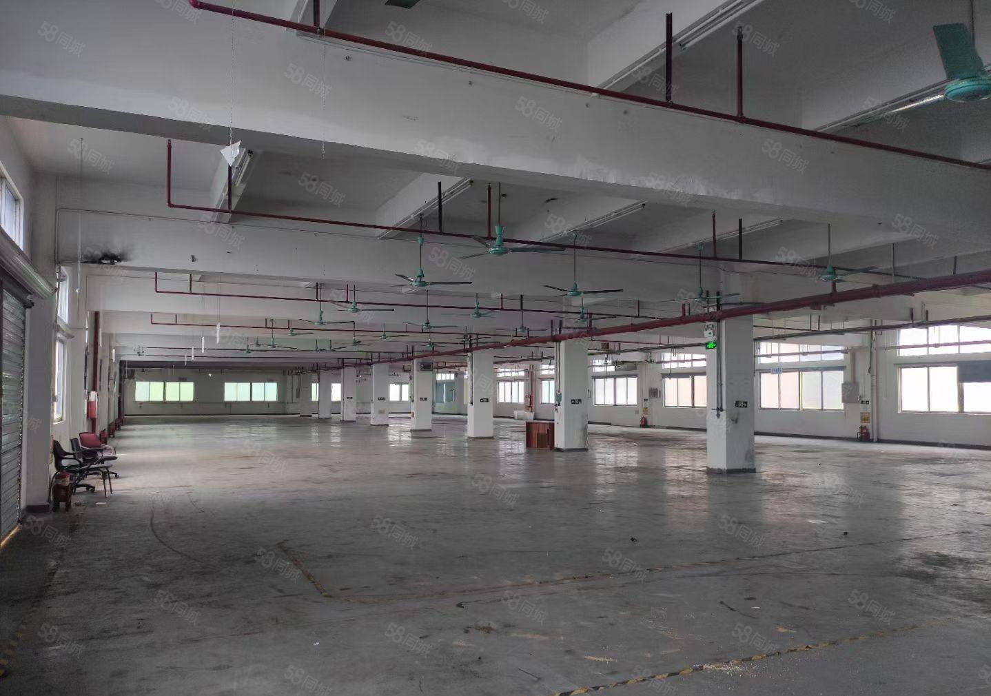 新！抢手！原房东！石碣镇独院厂房招租一楼2200方可分