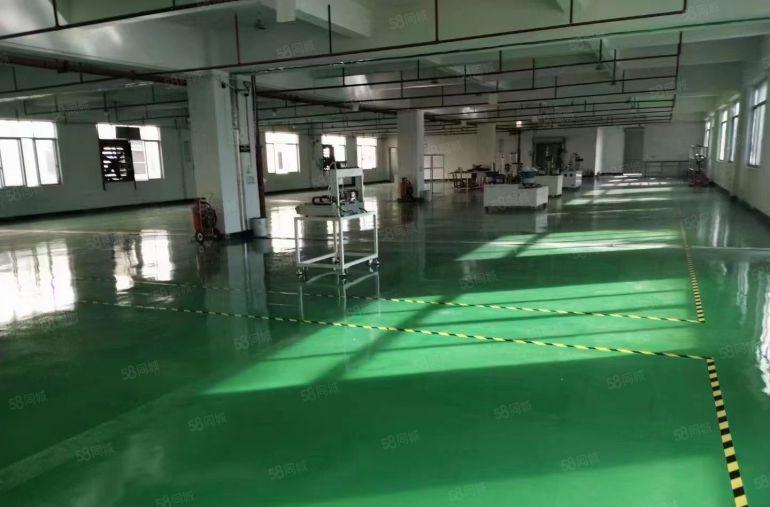 石碣电子电商厂房2000平方起成熟工业区价格10元起