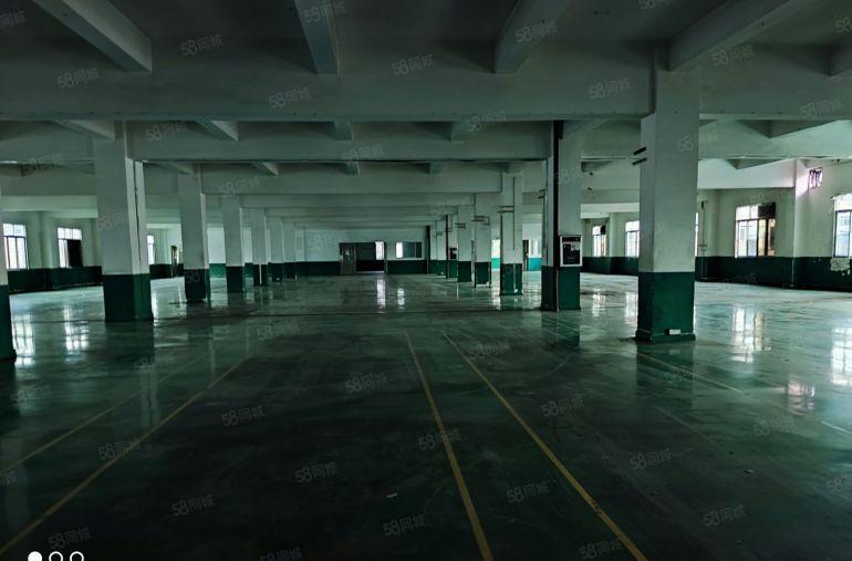 石碣镇独院厂房招租12000方形象好空地大独立办公楼没公摊