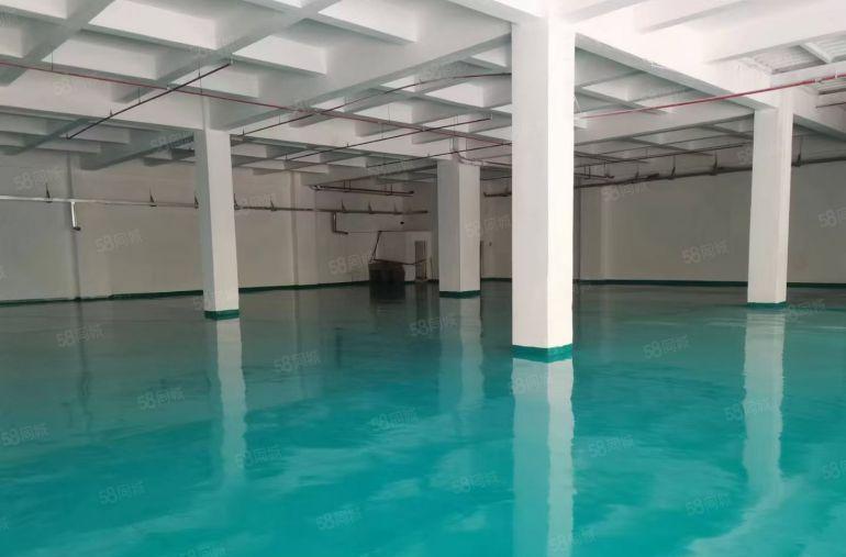 石碣四甲村一楼500方 低价独院（全新地坪漆 送装修）