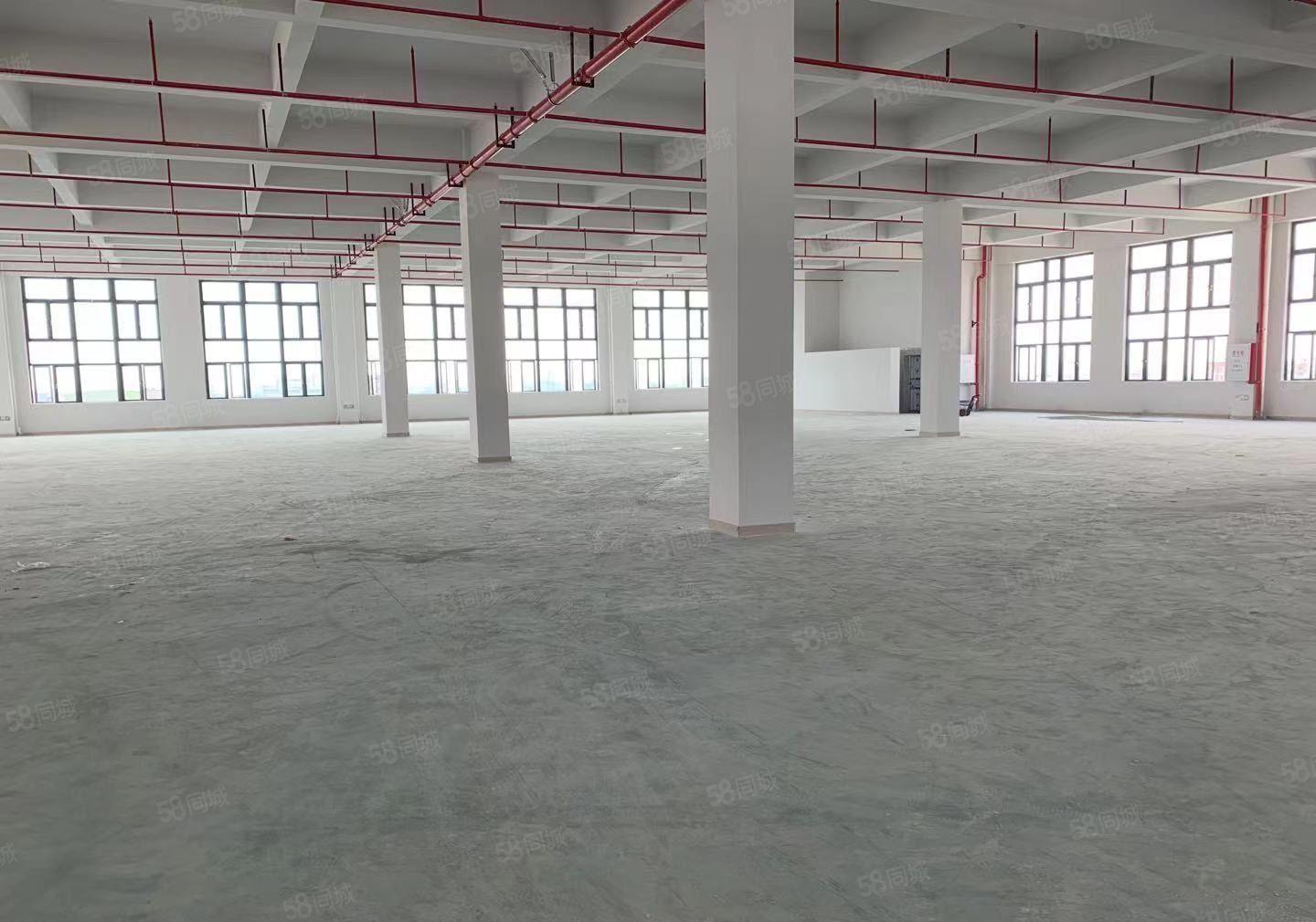 石碣全新标准工业厂房招租