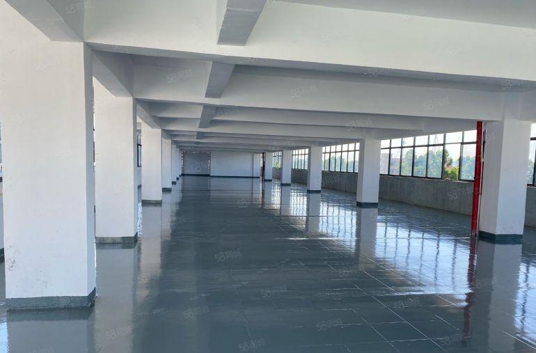 石碣镇标准厂房，高速路旁