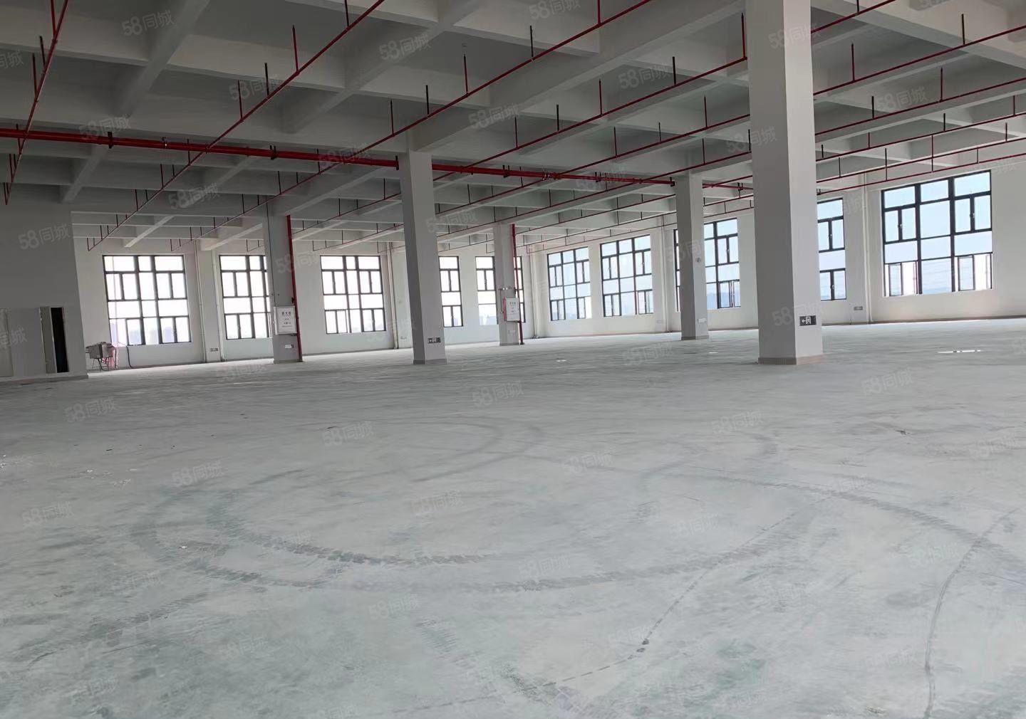 石碣全新标准工业厂房招租