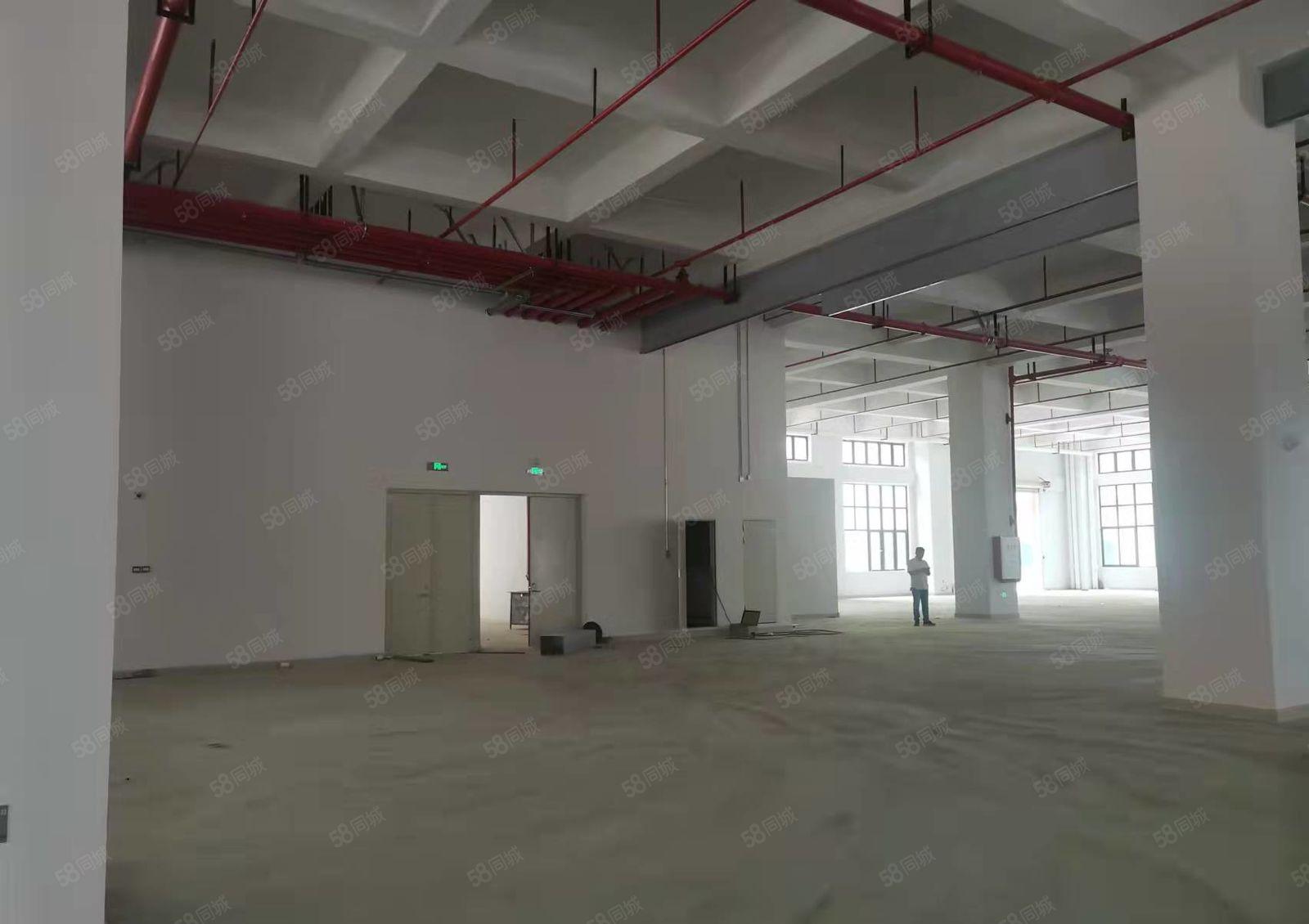 石碣水南原房东招租全新厂房一楼800平方，层高7.9米！