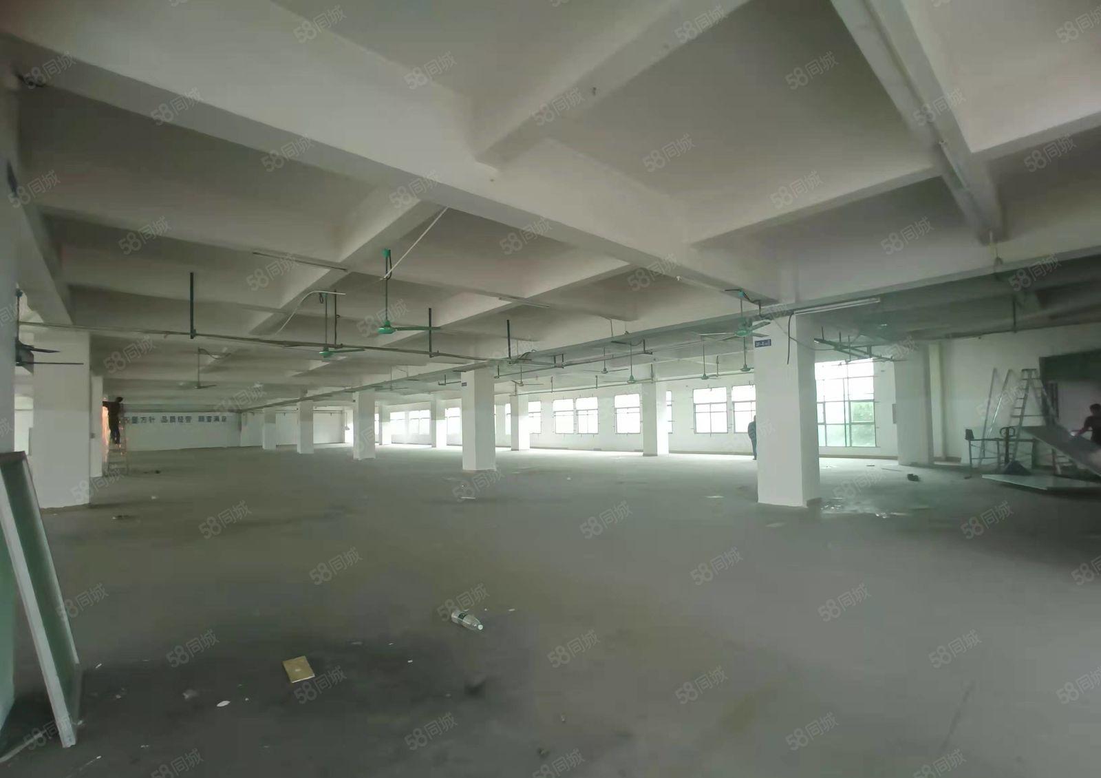 石碣镇村委空出工业园区独栋标准厂房出租四层8000平方