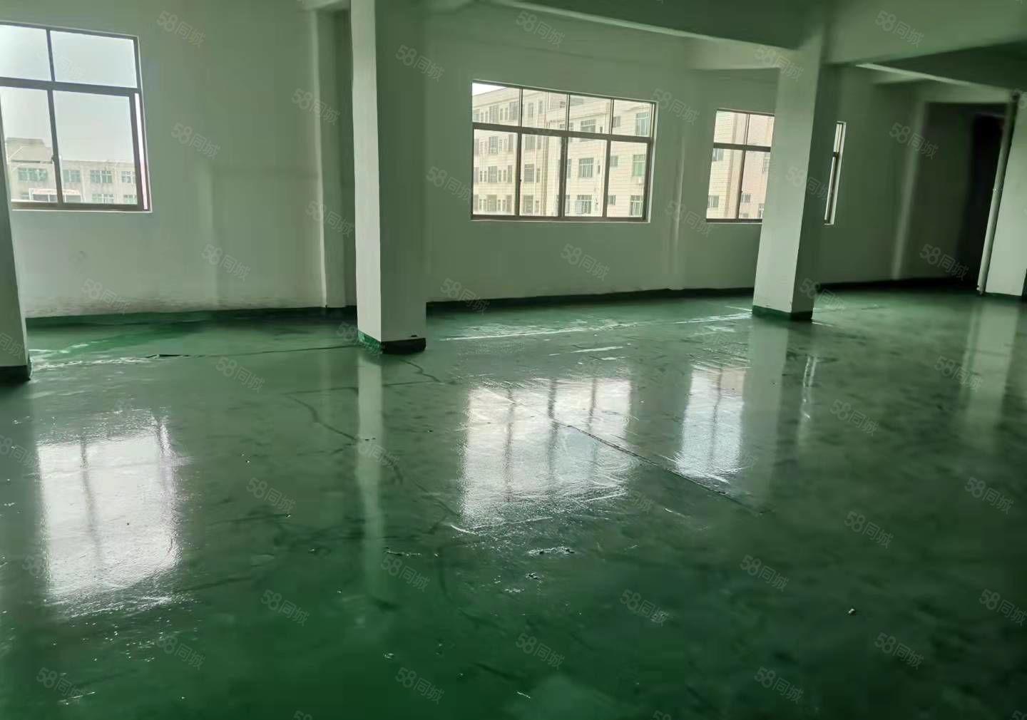 石碣四甲招租全新厂房二楼800平方，现成装修，入驻即可生产！