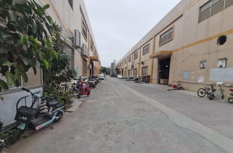 石碣原房东单一层钢结构11米高厂房出租 工业园区 实际面积