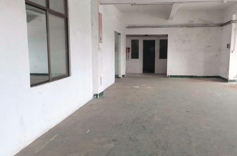 石碣独门独院楼上厂房1000平方！报价10