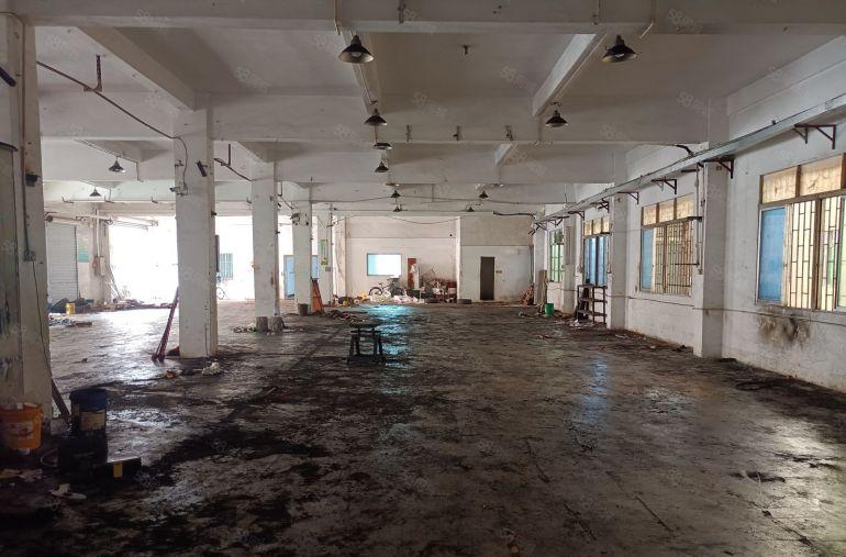 石碣标准独门独院工业厂房，一楼800平方，办公室水电齐全！