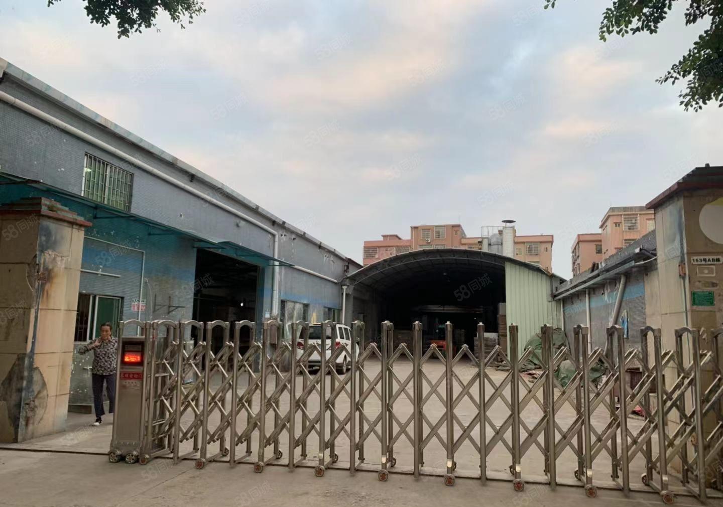 原房东钢构独栋钢构单一层滴水7米水电齐全2700平方出租