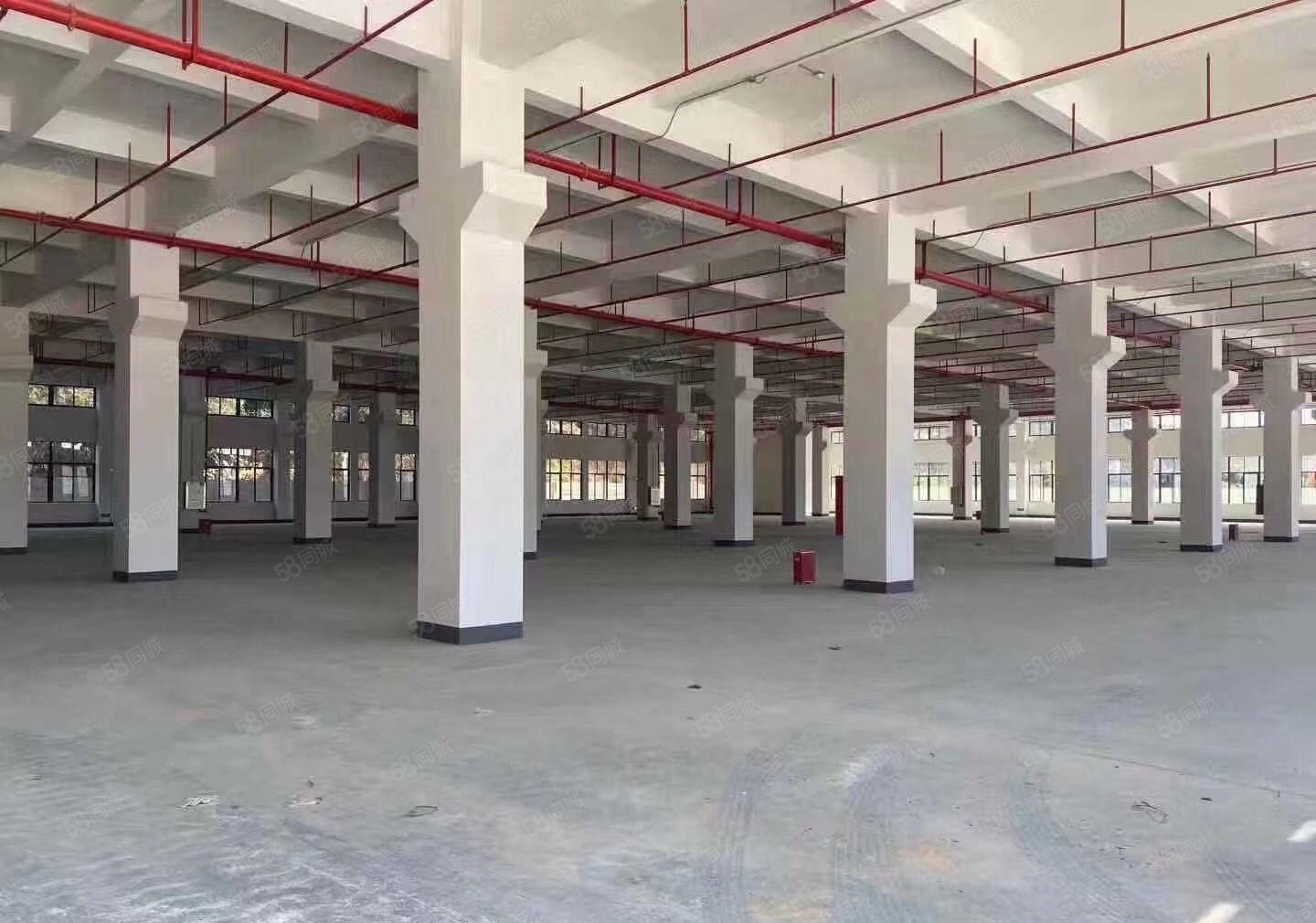 石碣橘洲工业园独院标准厂房8800平可分租形象好