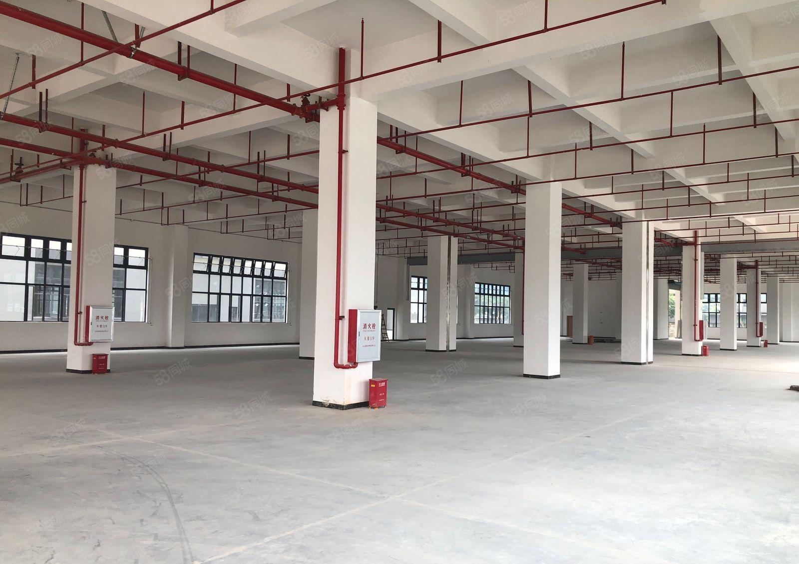 石碣橘洲工业园独院标准厂房8800平可分租形象好