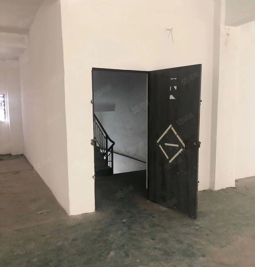 新！原房东直租！东莞石碣650方小型厂房