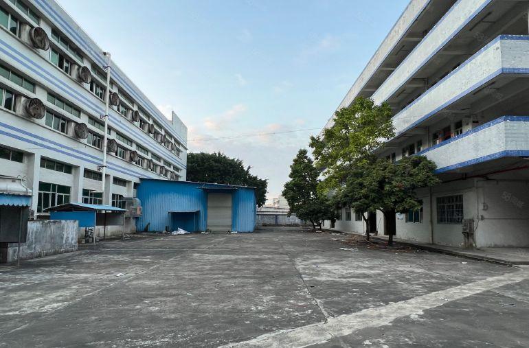 石碣中心成熟工业区新出独院厂4800平小可以分租800平