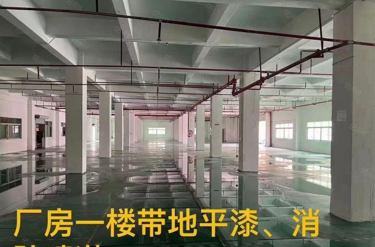 石排花园式独院厂房分租，租金16元平方