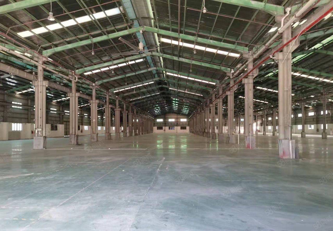 特价出租滴水9米钢构3500 空地2500 可分租