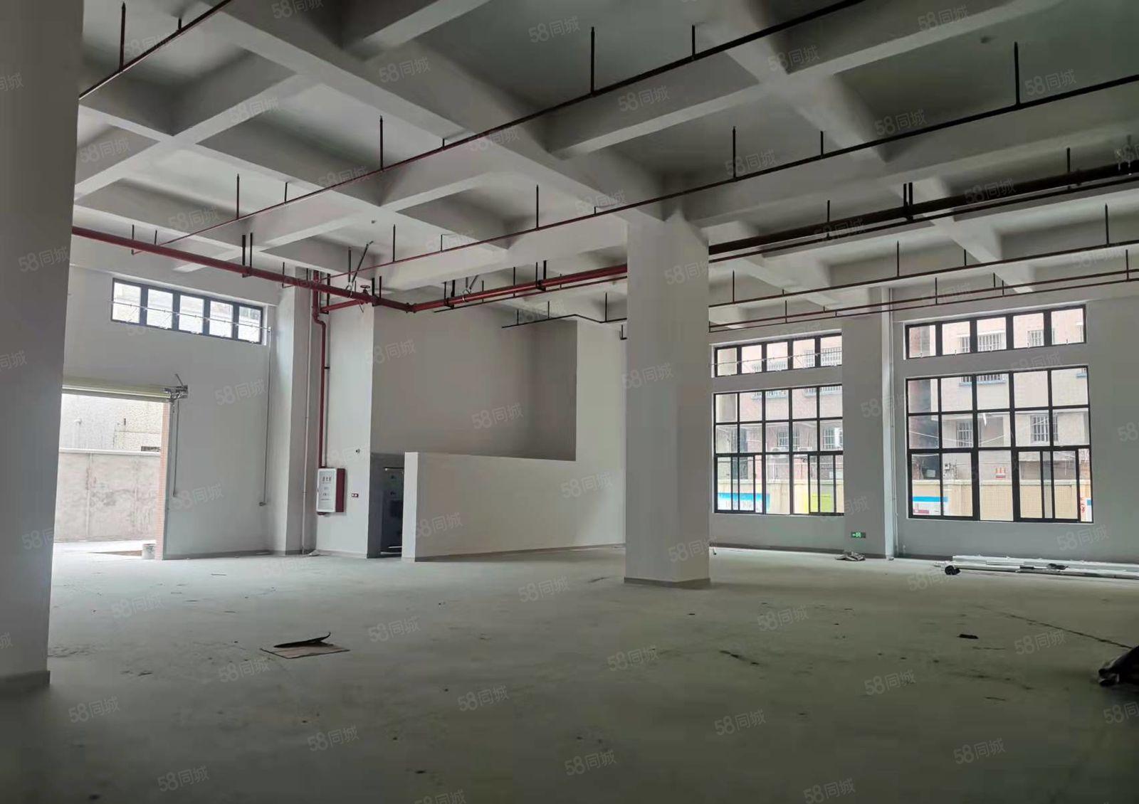 石碣水南原房东招租全新厂房一楼800平方，层高7.9米！